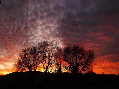 Holiday house Tuscany Bliss: Garden Retreat - Environment photo 25