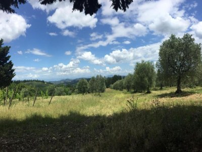 Holiday house Tuscany Bliss: Garden Retreat - Environment photo 28
