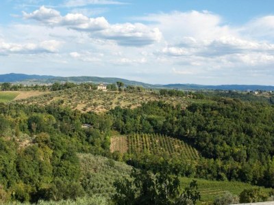 Holiday house Tuscany Bliss: Garden Retreat - Environment photo 30