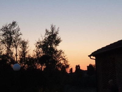 Holiday house Tuscany Bliss: Garden Retreat - Environment photo 31