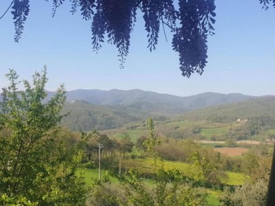 Holiday house Tuscany Bliss: Garden Retreat - Environment photo 34