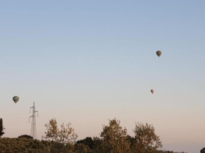 Holiday house Tuscany Bliss: Garden Retreat - Environment photo 36