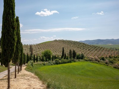 Apartment Peccioli Family Retreat w/ Fun - Environment photo 28