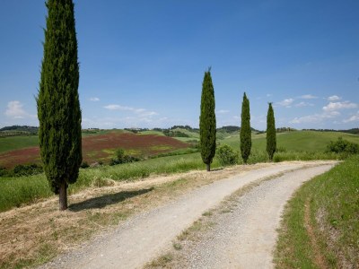 Apartment Peccioli Family Retreat w/ Fun - Environment photo 29