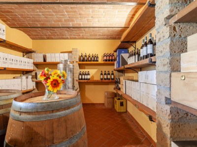 Apartment Peccioli Family Retreat w/ Fun - Outdoor photo 33