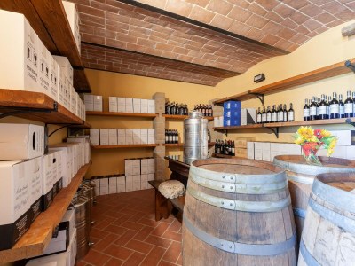 Apartment Peccioli Family Retreat w/ Fun - Outdoor photo 34