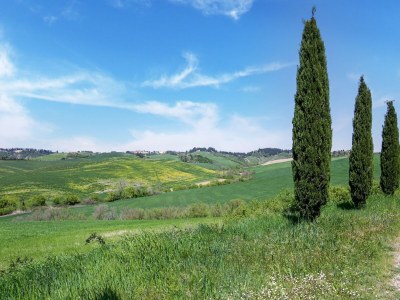 Apartment Peccioli Villa Retreat mit Pool - Environment photo 31