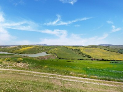 Apartment Peccioli Villa Retreat mit Pool - Environment photo 34