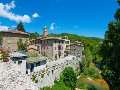 Holiday house Villa in Borgo Pace mit Privatpool - Environment photo 30