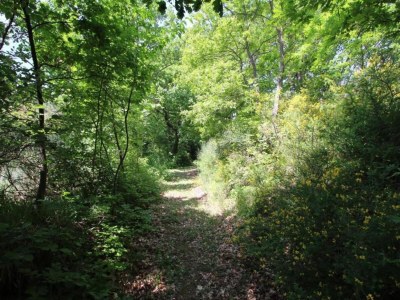 Farmhouse Bauernhaus mit Pool & Spa - Environment photo 24