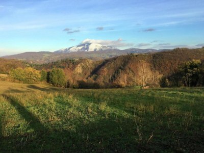 Farmhouse Bauernhaus mit Pool & Spa - Environment photo 28