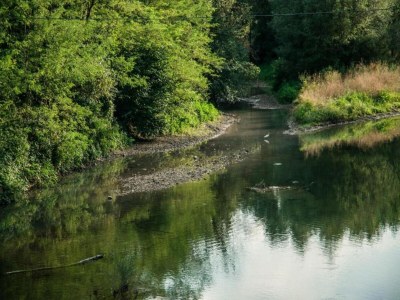 Villa Farmhouse Villa w/ Pool - Environment photo 22