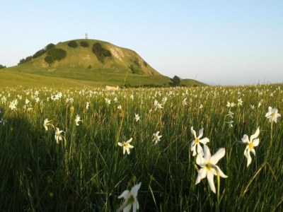 Villa Farmhouse Villa w/ Pool - Environment photo 33