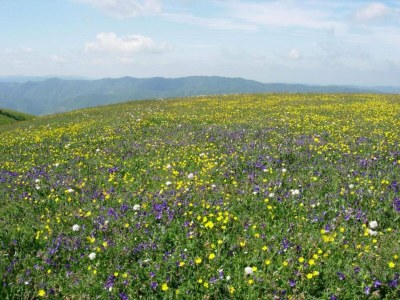 Villa Farmhouse Villa w/ Pool - Environment photo 34