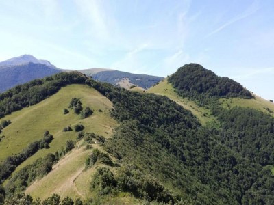 Villa Farmhouse Villa w/ Pool - Environment photo 39