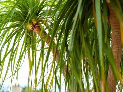 Apartment Retreat near Ionian Sea - Outdoor photo 33