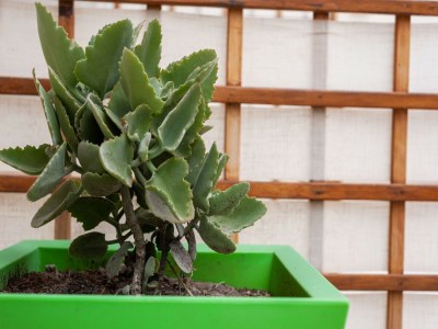 Apartment Retreat near Ionian Sea - Outdoor photo 35