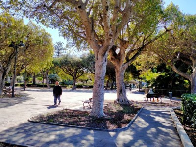 Apartment Belvilla by OYO Casa Bella - Environment photo 29