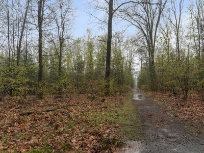 Chalet Schönes Ferienchalet in Emst mit Garten - Environment photo 30