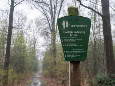 Chalet Schönes Ferienchalet in Emst mit Garten - Environment photo 31