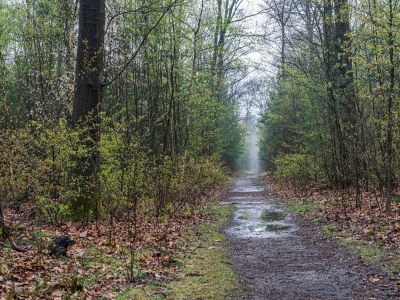 Chalet Schönes Ferienchalet in Emst mit Garten - Environment photo 32