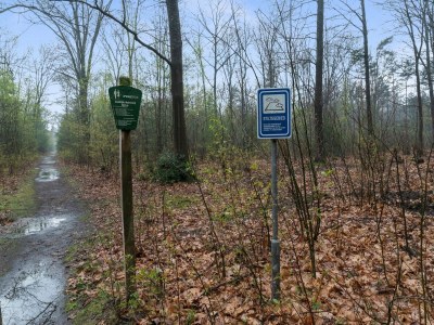 Chalet Schönes Ferienchalet in Emst mit Garten - Environment photo 34