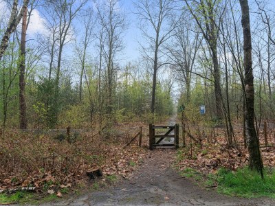 Chalet Schönes Ferienchalet in Emst mit Garten - Environment photo 35