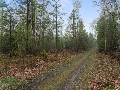 Chalet Schönes Ferienchalet in Emst mit Garten - Environment photo 36