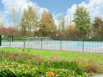 Holiday house Ferienhaus in Zeewolde am Wald - Outdoor photo 4