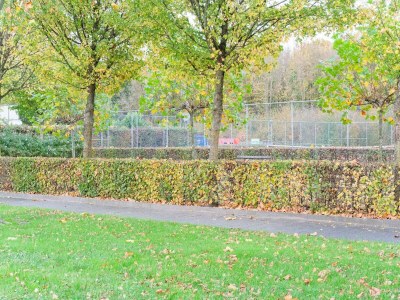 Holiday house Ferienhaus in Zeewolde am Wald - Outdoor photo 9