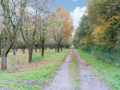 Holiday house Ferienhaus in Zeewolde am Wald - Environment photo 35