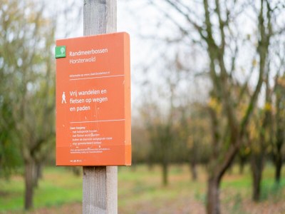 Holiday house Ferienhaus in Zeewolde am Wald - Outdoor photo 40