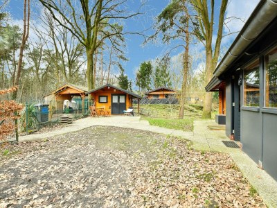 Holiday house Wooden Holiday Home in Meijel with Private Garden - Outdoor photo 13