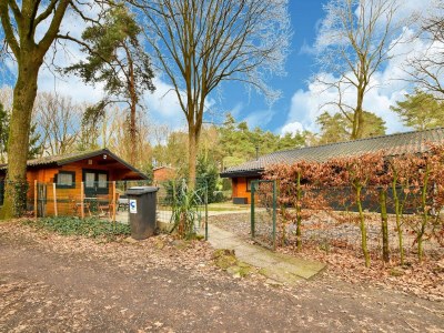 Holiday house Wooden Holiday Home in Meijel with Private Garden - Features photo 35