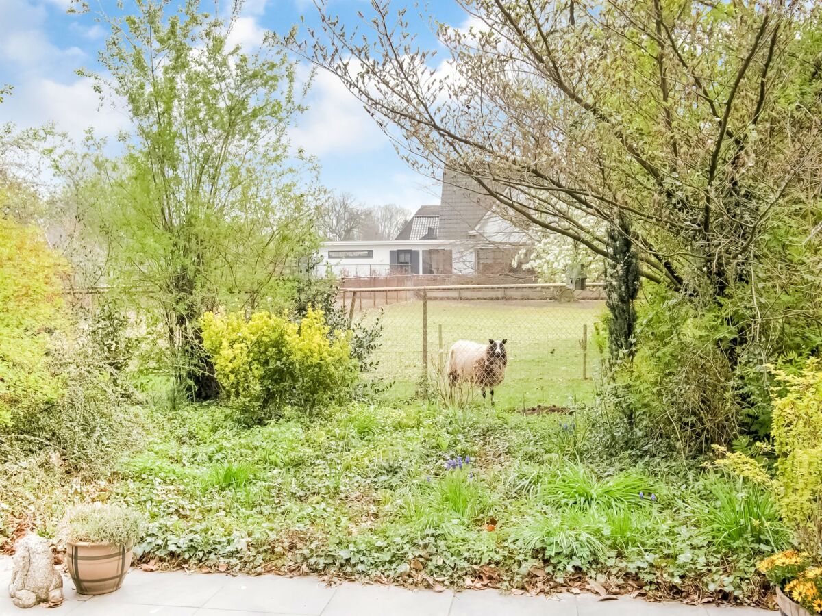 Holiday house Holiday home near the Efteling with garden - Outdoor photo 2