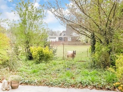 Holiday house Holiday home near the Efteling with garden - Outdoor photo 2