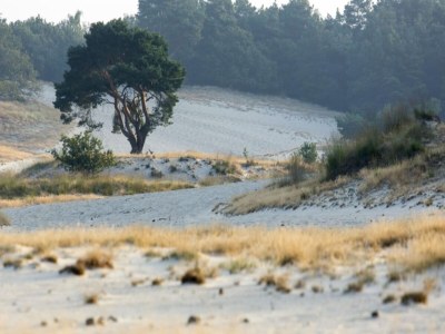 Holiday house Holiday home near the Efteling with garden - Environment photo 35
