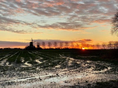 Holiday house B&B farm Grutsk in Suwald with private harbour - Environment photo 34
