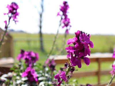 Holiday house B&B farm Grutsk in Suwald with private harbour - Outdoor photo 35