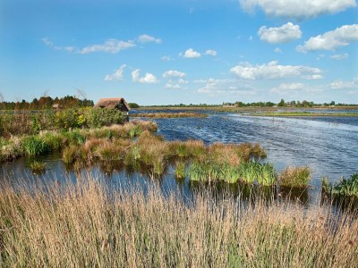 Chalet Chalet with Hot Tub, Suwald - Environment photo 26