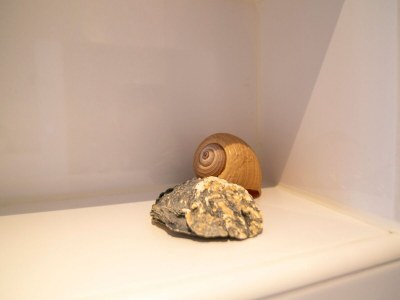 Holiday house Ferienhaus in Medemblik mit Garten - Outdoor photo 28