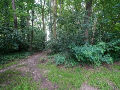 Holiday house Aufenthalt mit Garten, Limburg - Environment photo 28