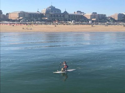 Apartment Ansprechende Wohnung in Den Haag mit Balkon - Environment photo 28