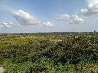 Apartment Ansprechende Wohnung in Den Haag mit Balkon - Environment photo 36