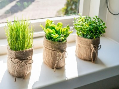 Holiday house Haus in Garderen nahe Veluwe für 5 Von Belvilla - Outdoor photo 36