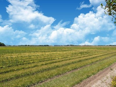 Holiday house Ferienhaus Callantsoog nahe Stränden - Environment photo 34