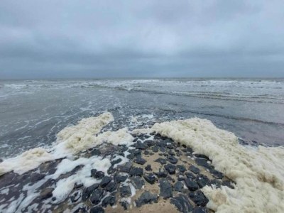 Holiday house Ferienhaus Callantsoog nahe Stränden - Environment photo 35