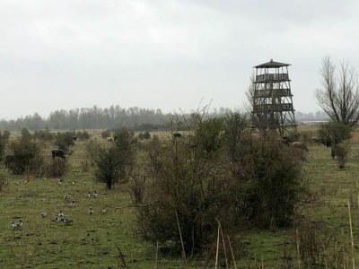 Holiday house Wasservilla nahe Volkerak Ooltgensplaat - Environment photo 29