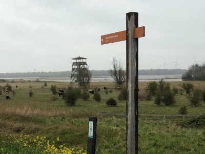 Holiday house Wasservilla nahe Volkerak Ooltgensplaat - Environment photo 32