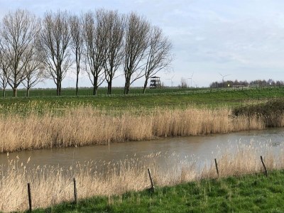 Holiday house Wasservilla nahe Volkerak Ooltgensplaat - Environment photo 35